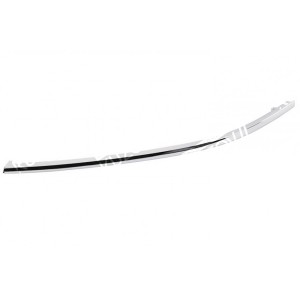 РЕСНИЧКА ПОД ФАРУ (ЛЕВАЯ) ХРОМИРОВАННАЯ - фото