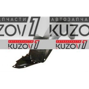 ПОДКРЫЛОК ПЕРЕДНИЙ (ЛЕВЫЙ) LIAN TUOH