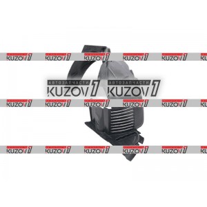 ПОДКРЫЛОК ПЕРЕДНИЙ (ЛЕВЫЙ) LIAN TUOH