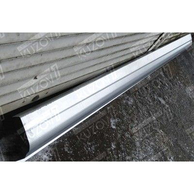 Порог (правый) БЕЛАРУСЬ для RENAULT LAGUNA 1993-1998 - фото