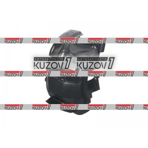 ПОДКРЫЛОК ПЕРЕДНИЙ (ПРАВЫЙ) ПЕРЕДНЯЯ ЧАСТЬ, LIAN TUOH