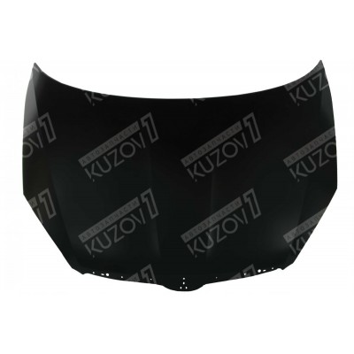 Капот TYG для SKODA ROOMSTER 2006-2010 - фото